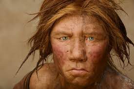 İçimizdeki Neanderthal